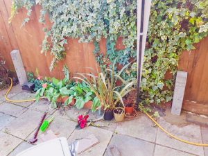 Fence repair in Sanderstead by South London Fencing