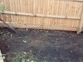 Fox and badger proof fencing