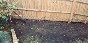 Fox and badger proof fencing